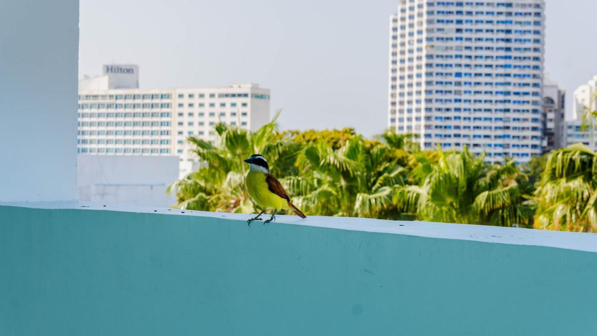 Hotel Coral Reef Cartagena