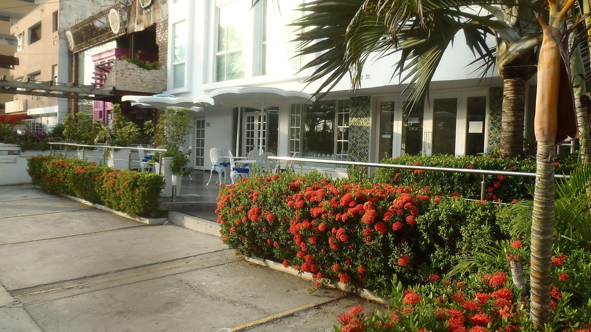 Coral Reef Hotel